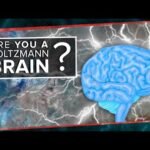 Are You a Boltzmann Brain?