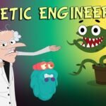 GENETIC ENGINEERING | What Is GENETIC Engineering? | Genetics | The Dr Binocs Show | Peekaboo Kidz