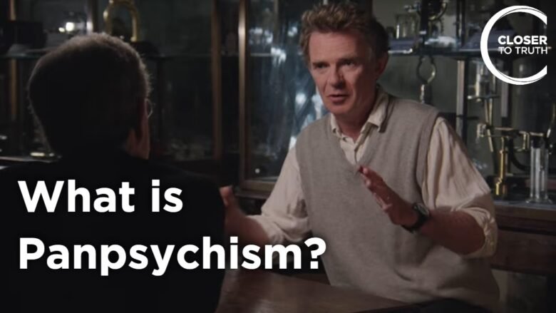 Galen Strawson – What is Panpsychism?