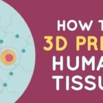 How to 3D print human tissue – Taneka Jones