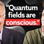 Quantum Information Panpsychism Explained | Federico Faggin