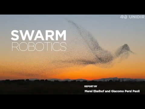 What are Robotic Swarms? An Overview