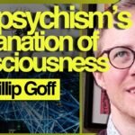 How Panpsychism Explains Consciousness | Phillip Goff