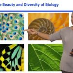 Kristala L. J. Prather (MIT) Part 1: Introduction to Synthetic Biology and Metabolic Engineering