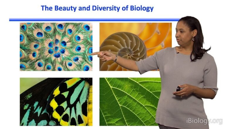 Kristala L. J. Prather (MIT) Part 1: Introduction to Synthetic Biology and Metabolic Engineering