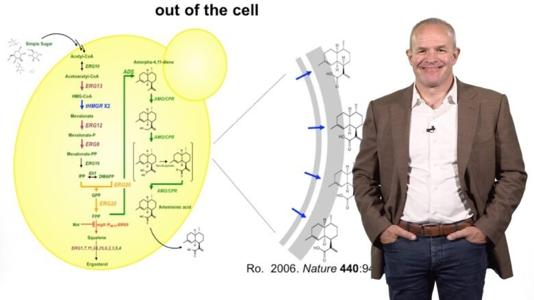 Synthetic Biology:  Engineering Microbes to Solve Global Challenges – Jay Keasling