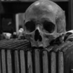 black and white photo of a skull on a row of books